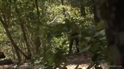 Жесткая ебля в лесной чаще двух молодух